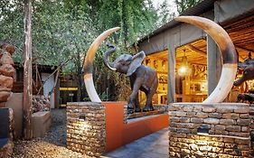 Grace Of Africa, Luxury Safari Lodge Near Kruger National Park